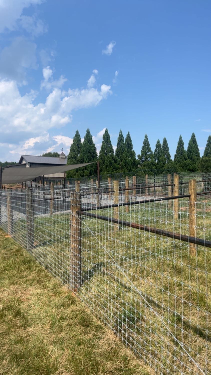 Wire Fencing with Posts