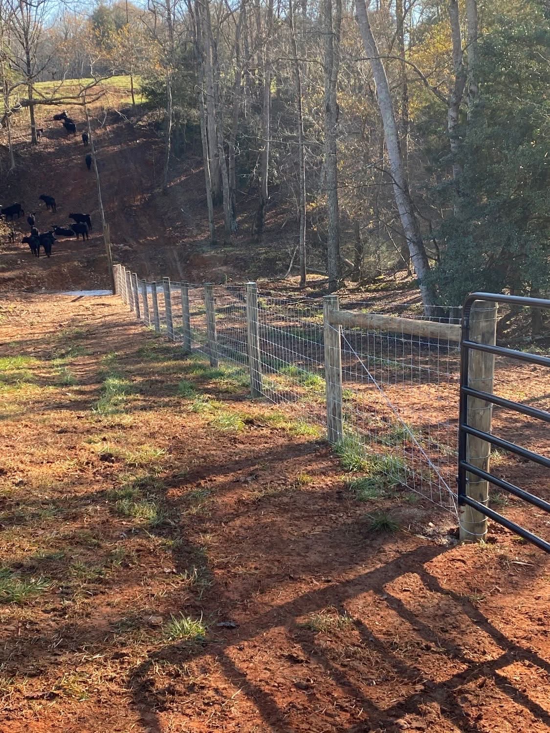 Cattle Fence & Metal Gate